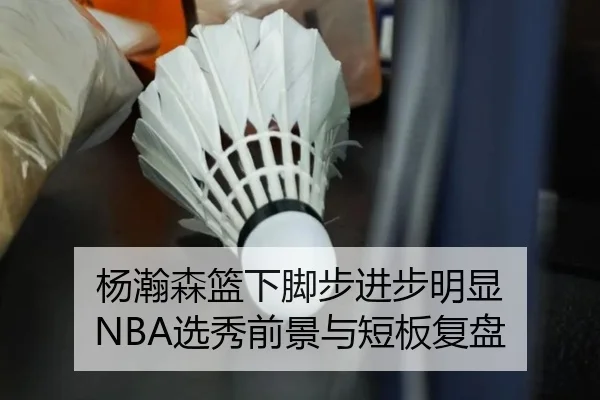 杨瀚森篮下脚步进步明显 NBA选秀前景与短板复盘